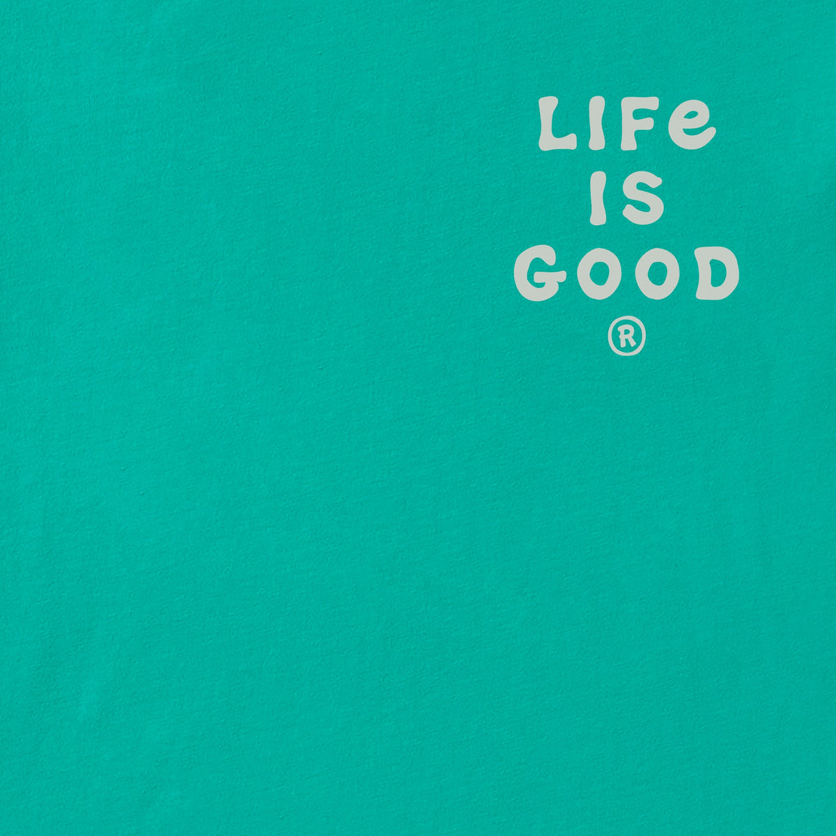 Men's Jake Big Fish Short Sleeve Crusher-LITE Tee product image 3