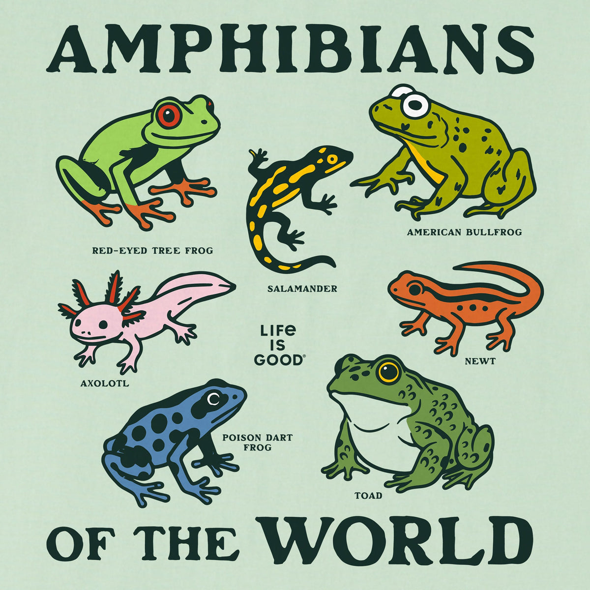Kids Amphibians of the World Short Sleeve Crusher Tee product image 2