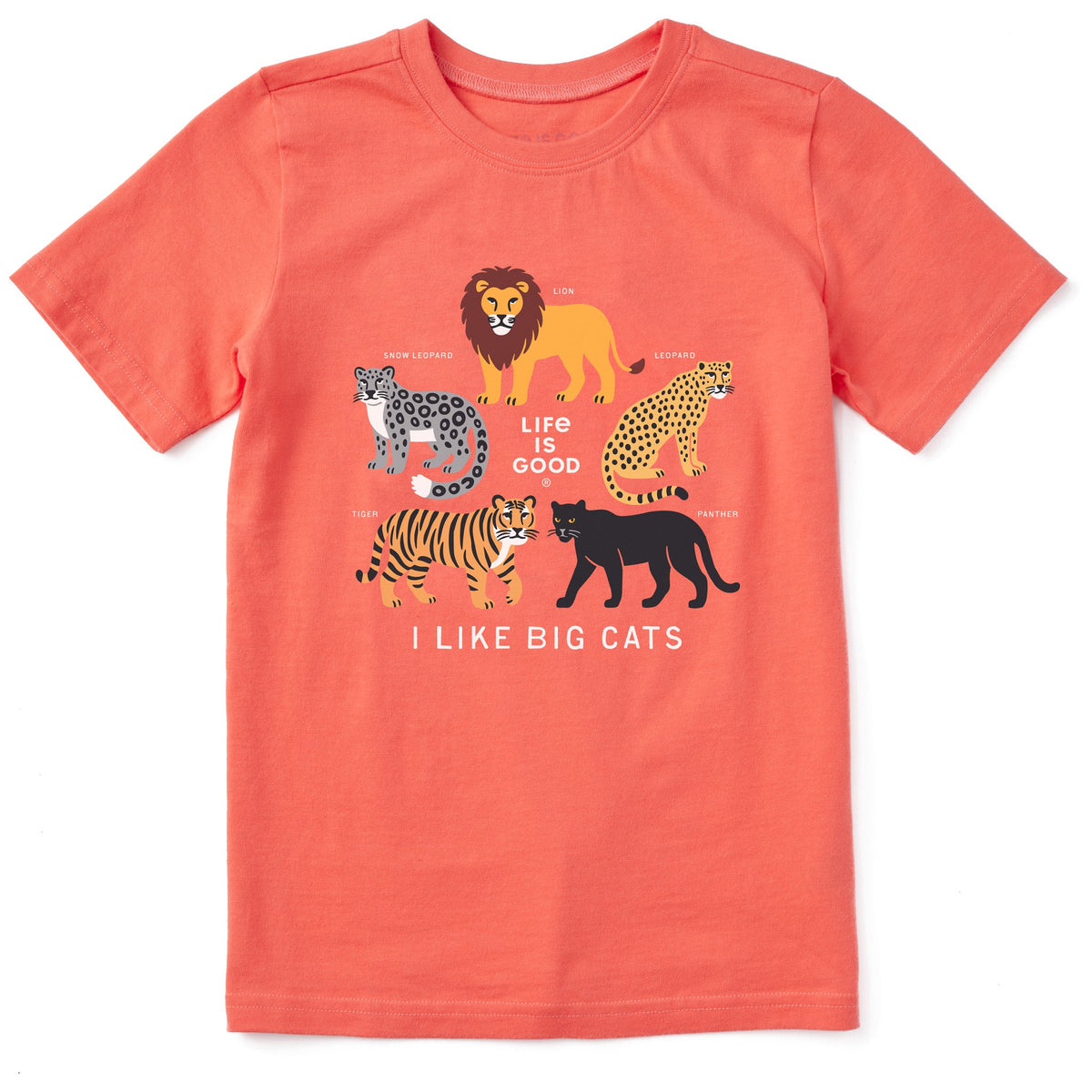 Kids I Like Big Cats Short Sleeve Crusher Tee product image 1