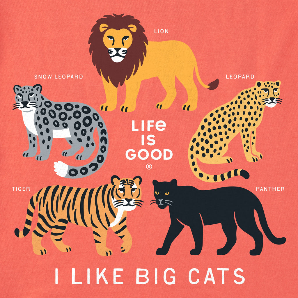 Kids I Like Big Cats Short Sleeve Crusher Tee product image 2