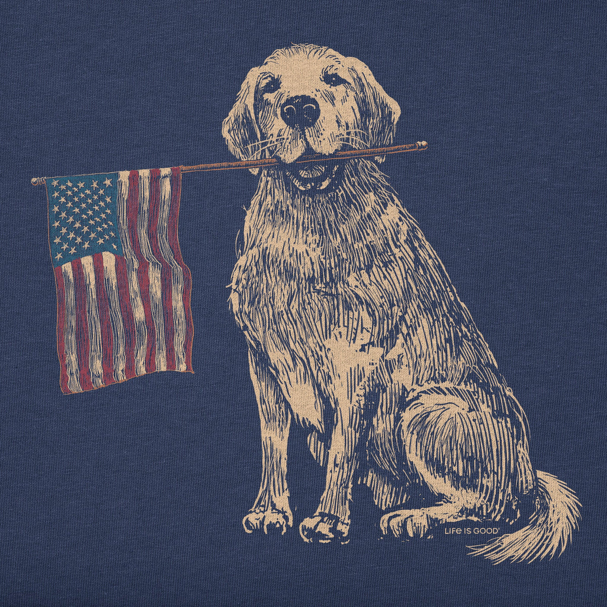 Men's USA Golden Simply True Fleece Crew