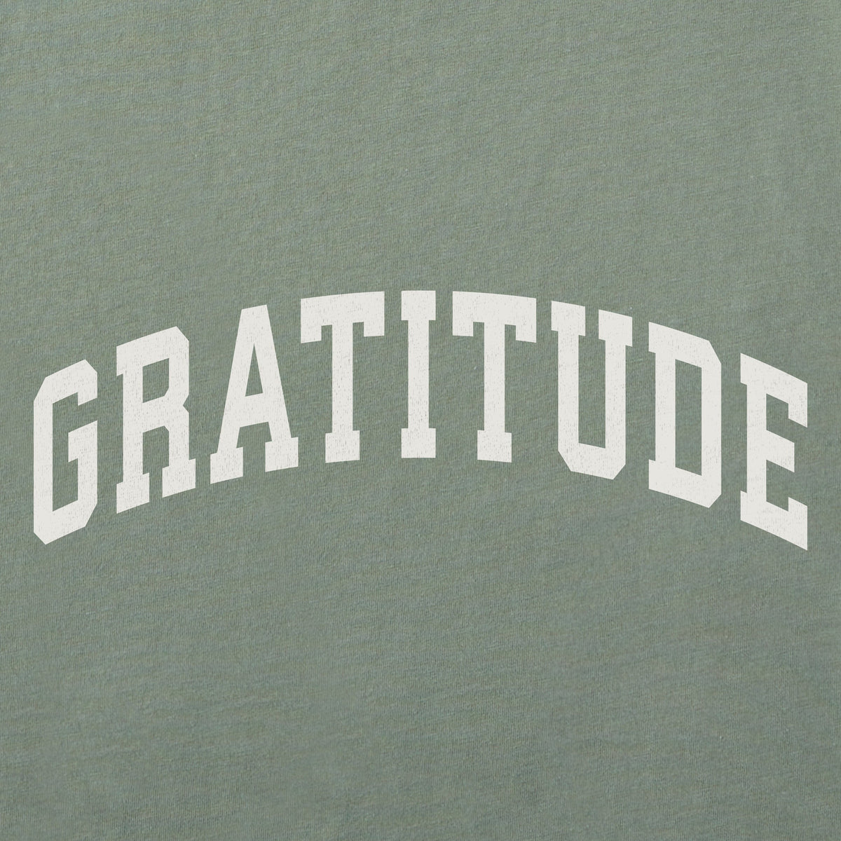 Men's Gratitude Arch Short Sleeve Crusher Tee product image 2