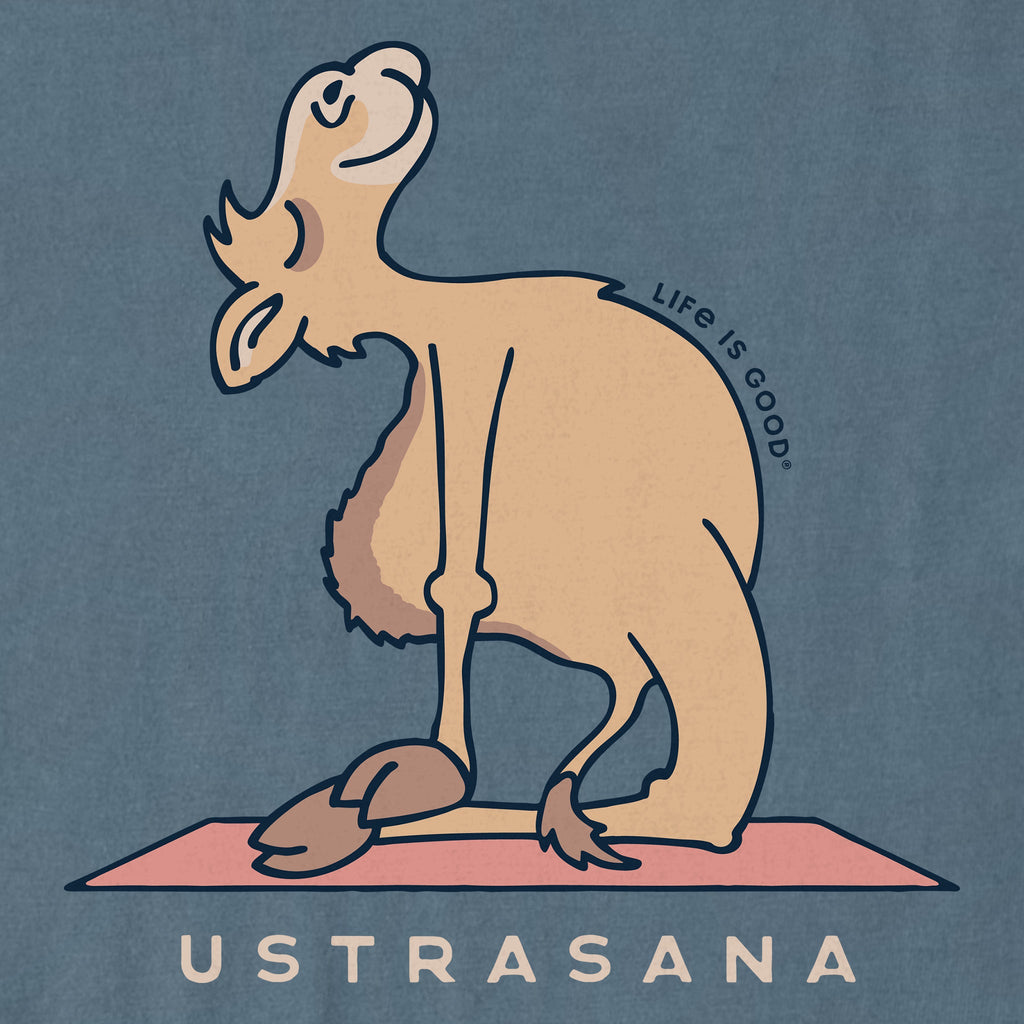 Women's Ustrasana Pose Short Sleeve Crusher Tee product image 2